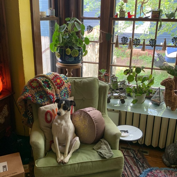 Meet your Posher, Jennifer - Picture 9 of 9